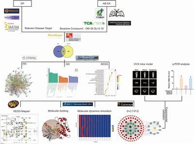 Unraveling the potential mechanisms of the anti-osteoporotic effects of the Achyranthes bidentata–Dipsacus asper herb pair: a network pharmacology and experimental study